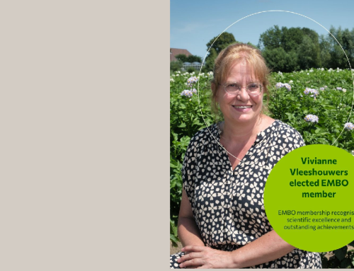 Vivianne Vleeshouwers elected as EMBO member