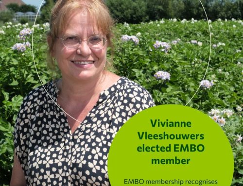 Vivianne Vleeshouwers elected as EMBO member
