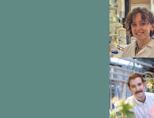 Pleun Langerwerf and Jason Gardiner: Blog on a midway meeting between supervisor and PhD candidate